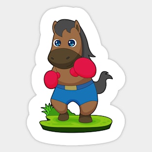 Horse Boxer Boxing gloves Sticker